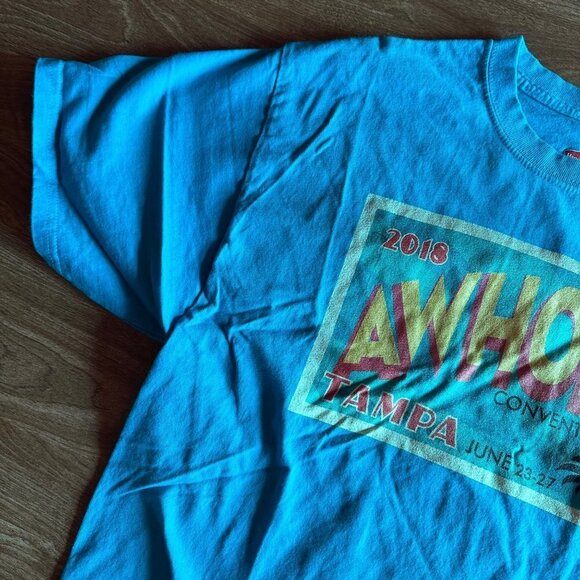 Hanes 2018 Awhonn Convention Tampa Florida Teal T-shirt Size L - Picture 3 of 14